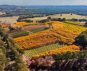 Rural / Farming commercial property for sale at 227 Mount Stanley Road Stanley VIC 3747