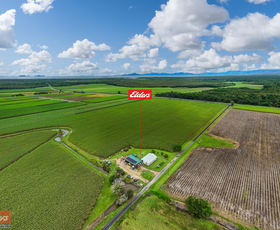 Rural / Farming commercial property for sale at 44 Kelly Road Lower Tully QLD 4854