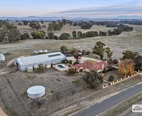 Rural / Farming commercial property for sale at 242 Spring Flat Road Crowlands VIC 3377