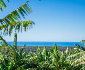 Rural / Farming commercial property for sale at 20 Puhos Road Sandy Beach NSW 2456