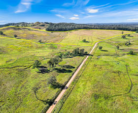 Rural / Farming commercial property for sale at 56 Ainsworth Road Mongogarie NSW 2470