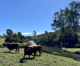 Rural / Farming commercial property for sale at 479 Bular Road Kilkivan QLD 4600