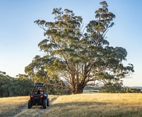 Rural / Farming commercial property for sale at 2209A Creightons Creek Road Creightons Creek VIC 3666