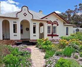 Rural / Farming commercial property for sale at 195 Polville Road Mount Bryan SA 5418