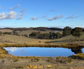 Rural / Farming commercial property for sale at 127a Corregans Road Yass River NSW 2582