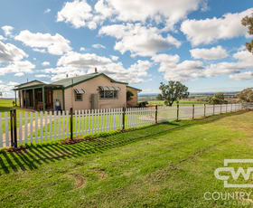 Rural / Farming commercial property for sale at 1036 Rob Roy Road Inverell NSW 2360