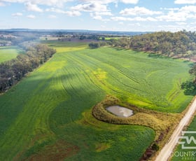 Rural / Farming commercial property for sale at 1036 Rob Roy Road Inverell NSW 2360
