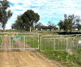 Rural / Farming commercial property for sale at "Thirlmere" 450 Bridges Road Gunnedah NSW 2380
