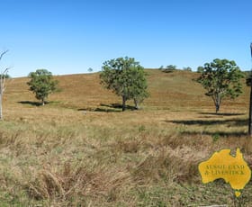 Rural / Farming commercial property for sale at 114 Booinbah Road Tansey QLD 4601