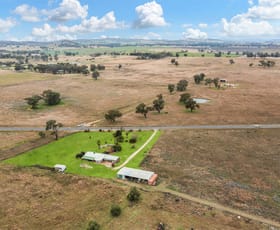 Rural / Farming commercial property for sale at 126 Goolma Road Gulgong NSW 2852