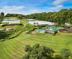 Rural / Farming commercial property for sale at 659 Federal Drive Federal NSW 2480