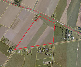 Rural / Farming commercial property for sale at Lot 3 Fairford Road Ingham QLD 4850