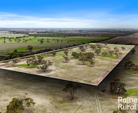 Rural / Farming commercial property for sale at Lot 2 Joppich Road Belvidere SA 5255