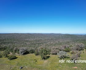 Rural / Farming commercial property for sale at Lot 1 Onus Road, Copeton Inverell NSW 2360