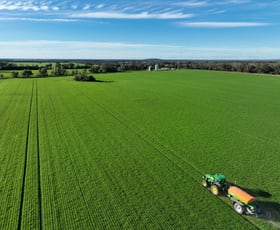 Rural / Farming commercial property for sale at 207 Wilgaroi Road Bellata NSW 2397