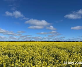 Rural / Farming commercial property for sale at 207 Wilgaroi Road Bellata NSW 2397