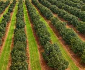 Rural / Farming commercial property for sale at Yungaburra QLD 4884