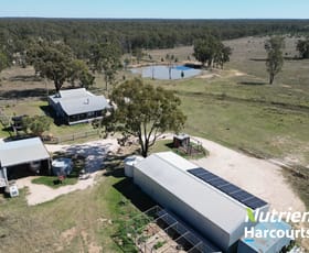 Rural / Farming commercial property for sale at Millvale - 270 Surcingle Road Chinchilla QLD 4413