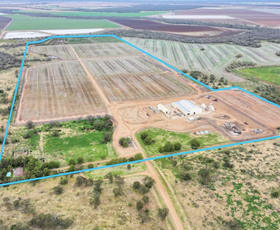 Rural / Farming commercial property for sale at 1769 Carnarvon Highway Ashley NSW 2400
