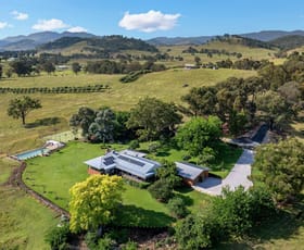 Rural / Farming commercial property for sale at 639 Castlereagh Highway Mudgee NSW 2850