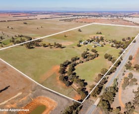 Rural / Farming commercial property for sale at 342 Matong North Road Matong NSW 2652