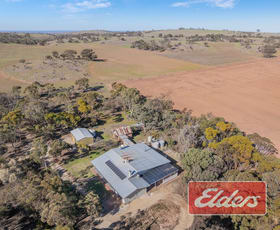 Rural / Farming commercial property for sale at 58 Oaklands Road Dutton SA 5356