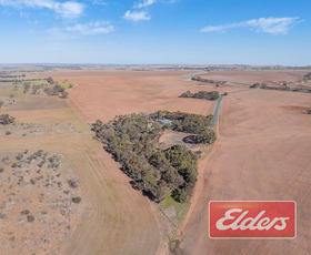 Rural / Farming commercial property for sale at 58 Oaklands Road Dutton SA 5356