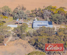 Rural / Farming commercial property for sale at 58 Oaklands Road Dutton SA 5356