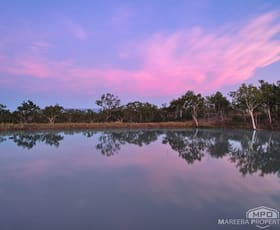 Rural / Farming commercial property for sale at 858 Fassio Road Paddys Green QLD 4880