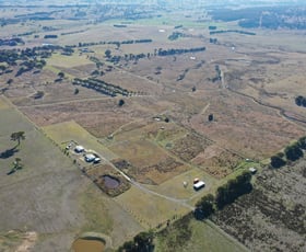 Rural / Farming commercial property for sale at 197 Kangaloolah Road Binda NSW 2583