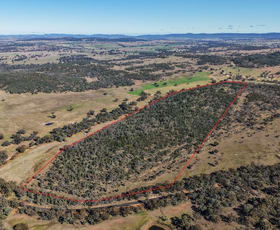 Rural / Farming commercial property for sale at 4744 Obley Road Obley NSW 2868