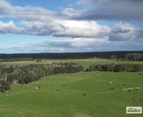 Rural / Farming commercial property for sale at 767 Mount Stanley Road Lymwood TAS 7256