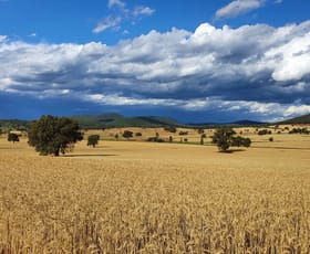 Rural / Farming commercial property for sale at Kurrajong Valley, 23 Wild Lane Parkes NSW 2870