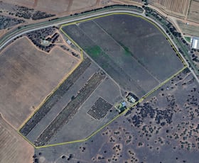Rural / Farming commercial property for sale at 71 Kyola Road Coleambally NSW 2707