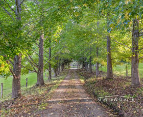 Rural / Farming commercial property for sale at 1216 Bellangry Rd Bellangry NSW 2446