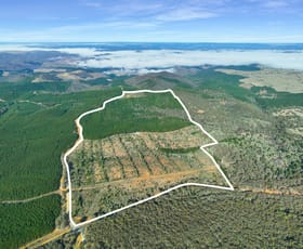 Rural / Farming commercial property for sale at 3653 Arkstone Road Burraga NSW 2795