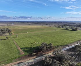 Rural / Farming commercial property for sale at Millears Road Deniliquin NSW 2710