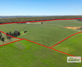 Rural / Farming commercial property for sale at Lot 226 &/248 Wagner Road Scotts Brook WA 6244
