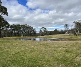 Rural / Farming commercial property for sale at * Coopers Road Red Range NSW 2370