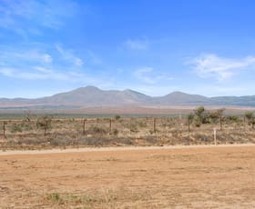 Rural / Farming commercial property for sale at Lot 173 Bencic Road Orroroo SA 5431