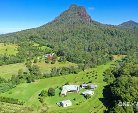 Rural / Farming commercial property for sale at 265 Mount Coxcomb Road Upper Lansdowne NSW 2430