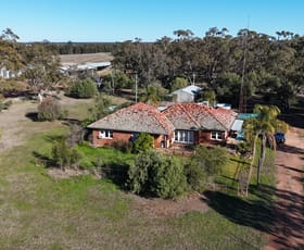 Rural / Farming commercial property for sale at 195 Curra Lane Peak Hill NSW 2869