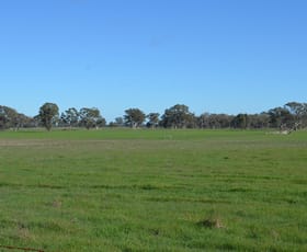 Rural / Farming commercial property for sale at 260 Burns Munn Road Edenhope VIC 3318