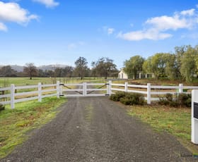 Rural / Farming commercial property for sale at 4620 Maroondah Highway Whanregarwen VIC 3714