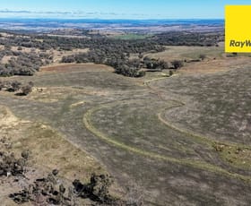 Rural / Farming commercial property for sale at 600 Blyths Lane Inverell NSW 2360