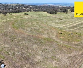 Rural / Farming commercial property for sale at 600 Blyths Lane Inverell NSW 2360