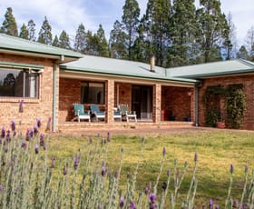 Rural / Farming commercial property for sale at Coonabarabran NSW 2357