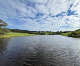 Rural / Farming commercial property for sale at 202 Dingo Flat Road Tingledale WA 6333