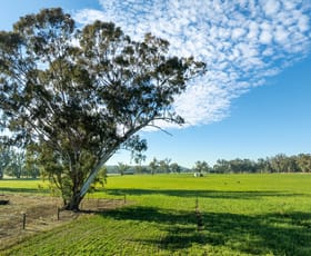 Rural / Farming commercial property for sale at 2594 Bedgerabong Road Forbes NSW 2871