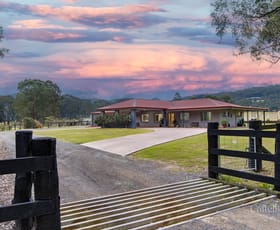 Rural / Farming commercial property for sale at 152 Webbers Creek Road Paterson NSW 2421